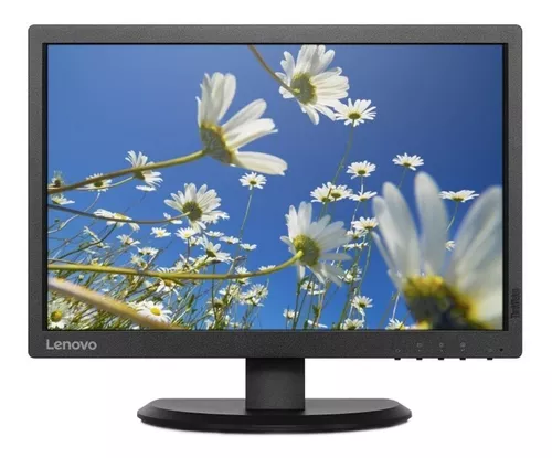 Monitor Lenovo LED ThinkVision E2054 19.5  Negro