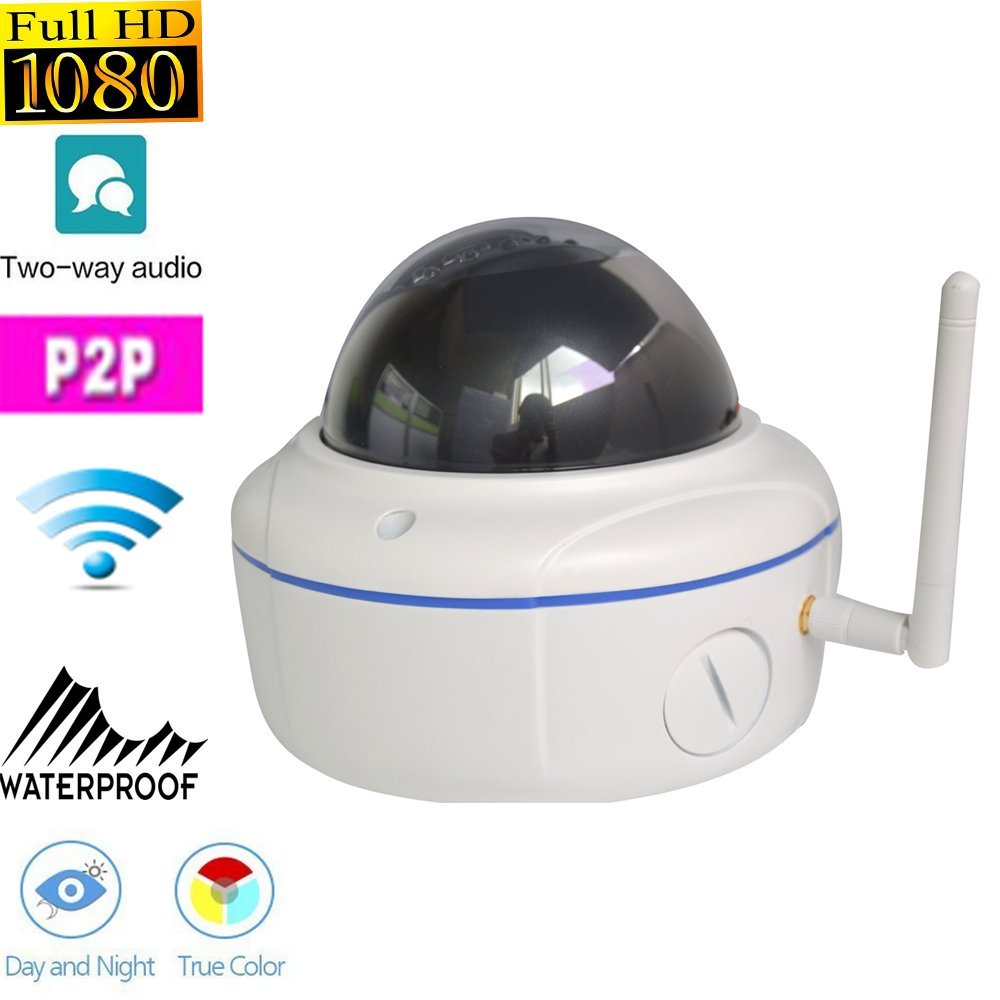 Alptop Security AT-1024VW 1080P Outdoor Wireless/Wired IP Dome Camera with 20-30 Meter Night Vision And two-way audio function 2.8-12mm lens