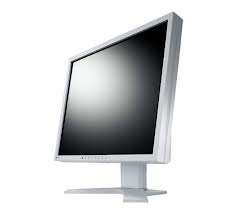 LCD-Monitor - 48cm/19"  FlexScan S1921XSH-GY