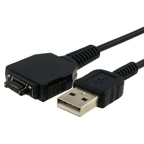 CABLE USB SONY CYBERSHOT DSC-W80 W70 W55 NP-BG1