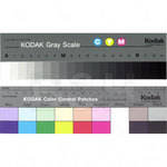 Kodak Color Separation Guide and Gray Scale-Small (Q-13)