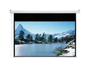 AccuScreens 800063 Electric Projection Screen
