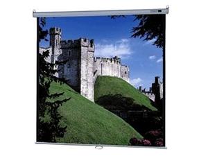Da-Lite Deluxe Model B Manual Wall and Ceiling Projection Screen