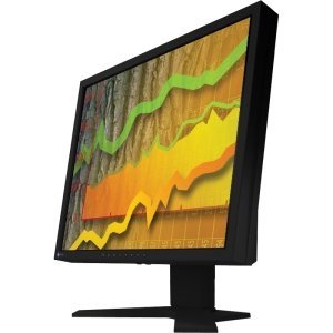Eizo FlexScan S1902 19" LCD Monitor - 5:4 - 5 ms (S1902ST-BK)