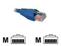 Nexxt - Cable de interconexión - RJ-45 (M)
