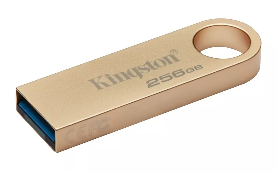 DISPOSITIVO DE ALMACENAMIENTO KINGSTON DTSE9 G3 256 GB USB 3.2 UNIDAD FLASH MEMORIA PEN STICK-