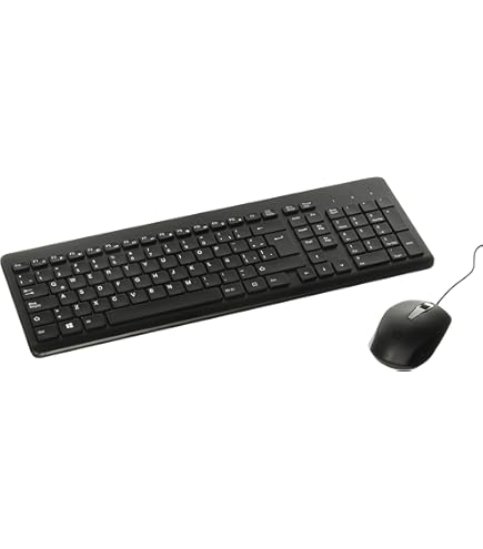 KIT TECLADO Y MOUSE HP 320MK
