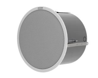 Community D10SUB 10-inch High Output High Quality Subwoofer Loudspeaker