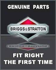 BRIGGS AND STRATTON 709378 - GRASSBAG (BRIGGS OEM PART)
