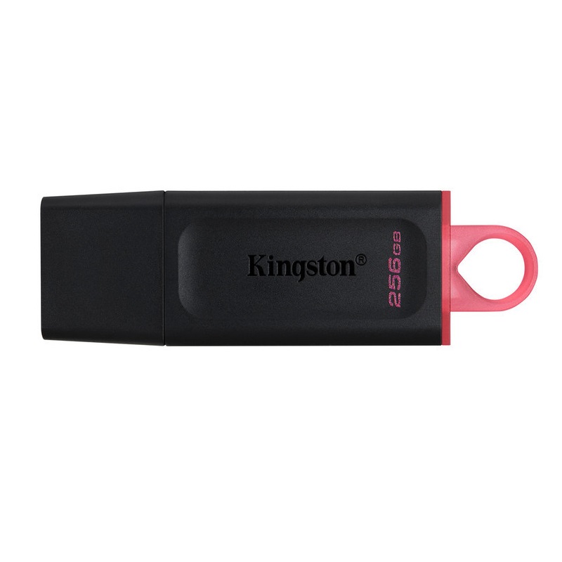 MEMORIA USB  KINGSTON DTX/256, 256 GB, USB 3,2