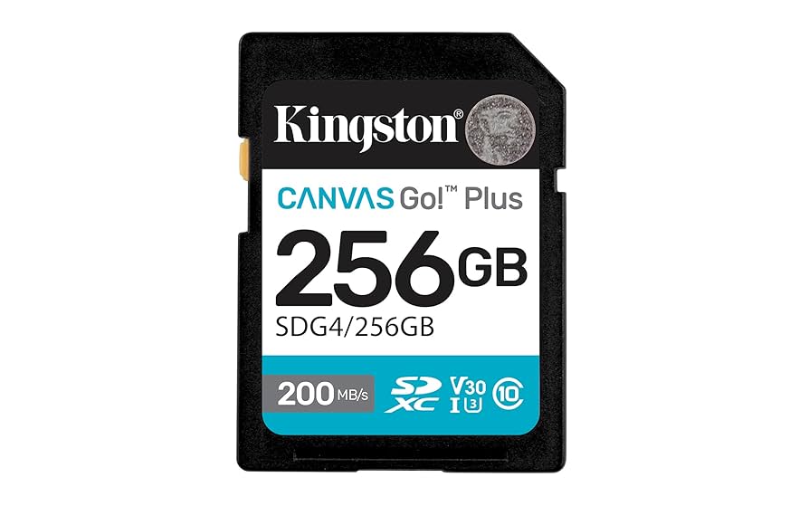 MEMORIA SD KINGSTON CANVAS GO PLUS GEN4, 256 GB, 4K, CLAS 10 200MB/s