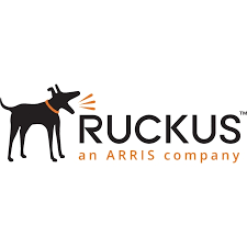 Ruckus WatchDog AP Advanced Hardware Replacement