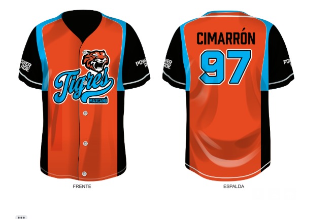 JERSEY SUBLIMADO DE TIGRE  CON NUMEROS LOGO DE LA MARCA Y NOMBRES