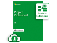 Microsoft Project Professional 2019 - Licencia - 1 PC