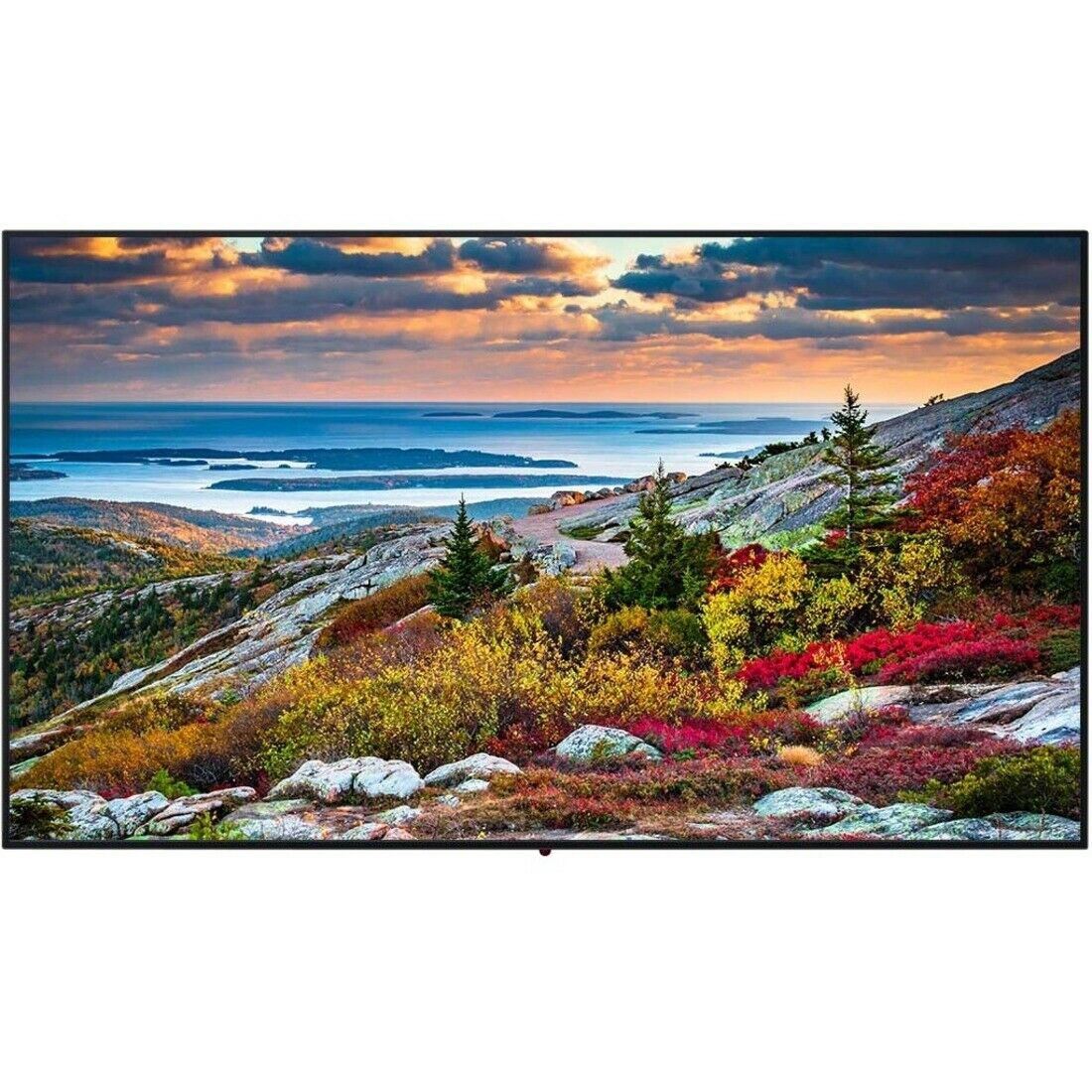 Panasonic TH-55CQE1W 55-inch 4k Uhd 400cd/m2 16/7 (th55cqe1w)