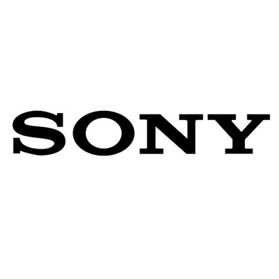 PILAS SONY PAQUETE CON 2 AA