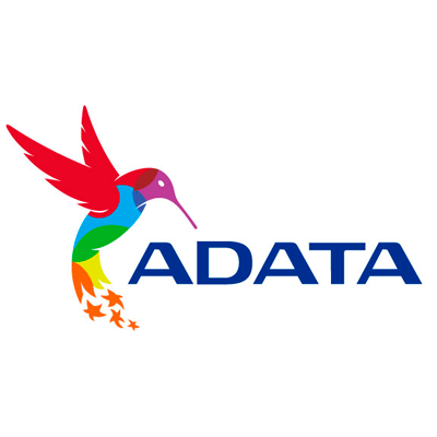 ADATA SWORDFISH - Unidad en estado sólido - 250 GB