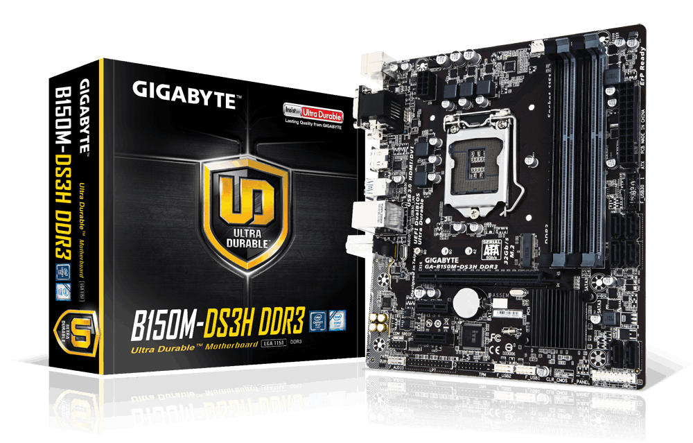 GIGABYTE MB GA-B150M-DS3H-DDR3, SUPPORT INTEL CORE I7/I5/I3/PNTIUM/CELERON SOCKET LGA 1151, CHIPSET INTEL B150, 4 X DDR3 MAX 32 GB RAM, SUPPORT WINDOWS 10/8.1 64BITS, WINDOWS 7 32/64 BITS