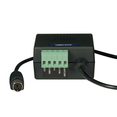 Sensor ambiental TRIPP-LITE - Negro