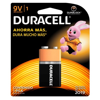 Pilas Alcalinas Duracell 80281576 - Duralock Power Preserve, 1 pieza(s)