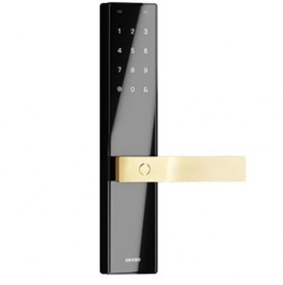 Chapa de Alta Seguridad Inteligente WiFi Orvibo T1 - Negro