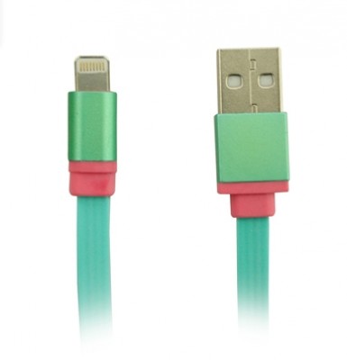 Cable cargador y transmisor de datos GINGA - Verde, Apple, 1 m, Cable cargador