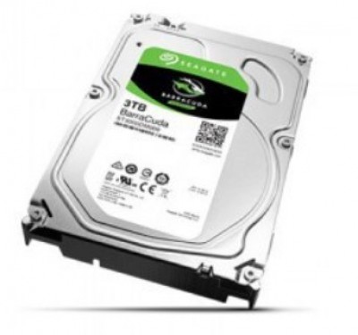 Disco Duro SEAGATE ST3000DM007 - 3000 GB