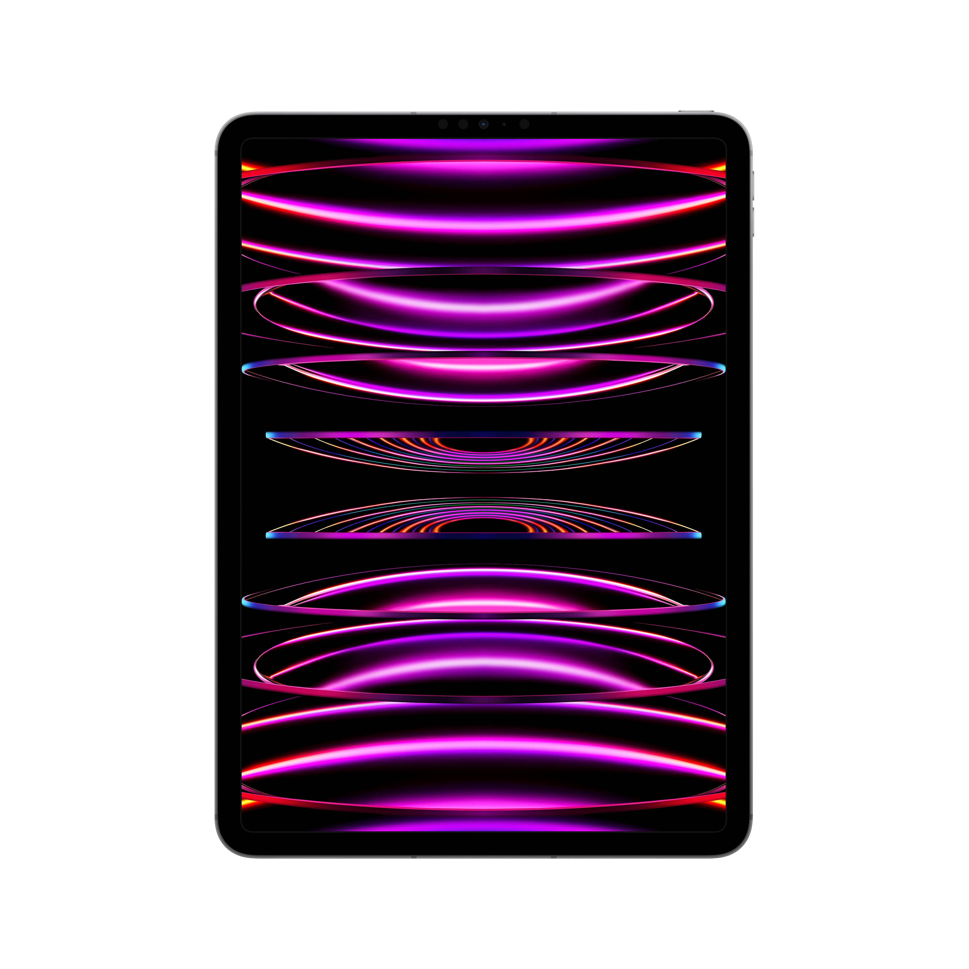 iPad Pro 11 Wifi + Cell  2TB SPACE GRAY MNYL3LZ/A -