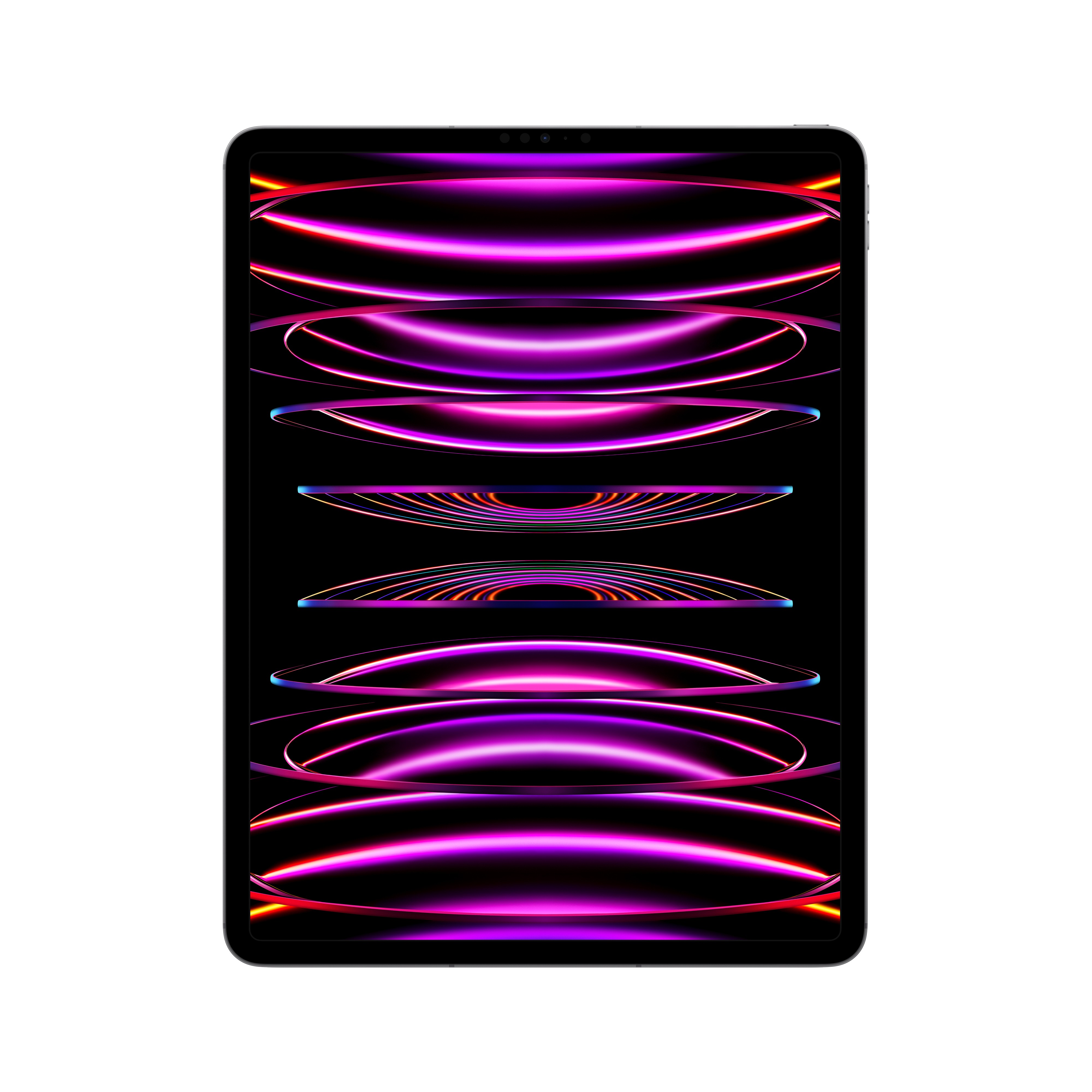 iPad Pro 12.9 Wifi + Cell 2TB SPACE GRAY MP263LZ/A -