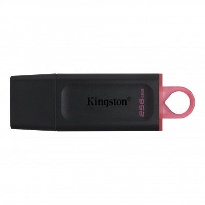 Memoria USB Kingston Technology DTX/256GB - Negro, 256 GB, USB