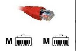 Nexxt - Cable de interconexión - RJ-45 (M)