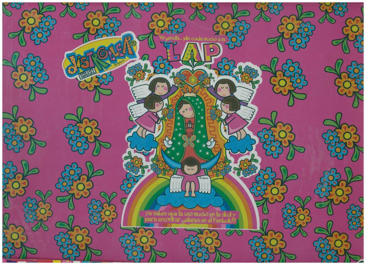 Skin Distroller Arcoiris Virgen Distroller